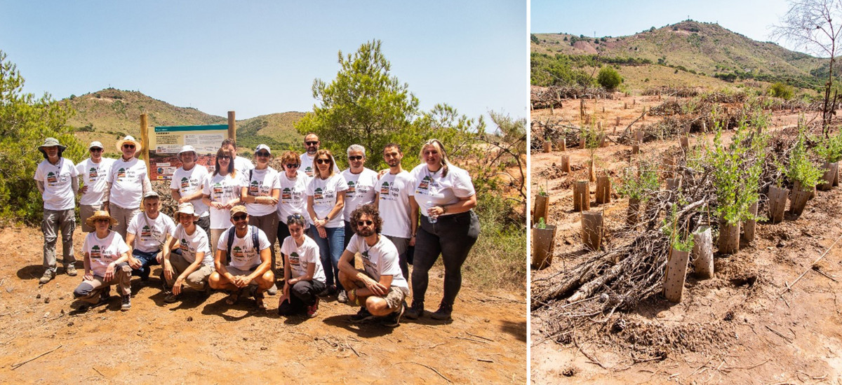 Investigadores de la sociedad española de la ciencia del suelo visitan la parcela piloto de restauración de zonas mineras